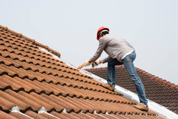 Best Roof Insulation Installation  in USA